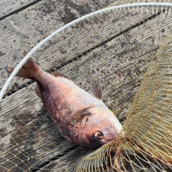 釣堀海恵