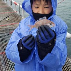 尺アジ釣れました