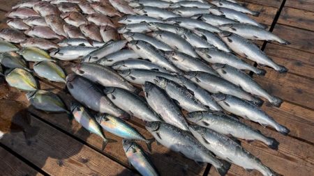 釣堀海恵