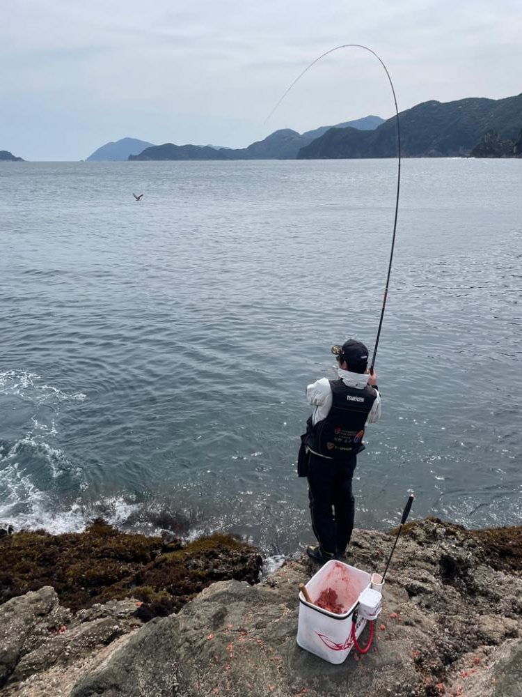 やっぱりグレ釣り！