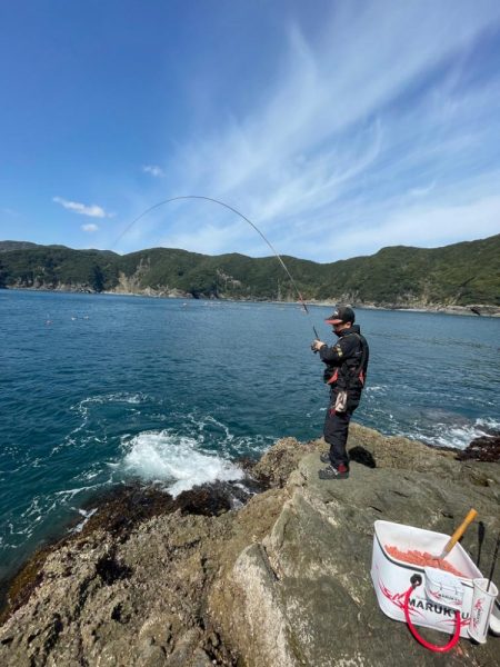 やっぱりグレ釣り！