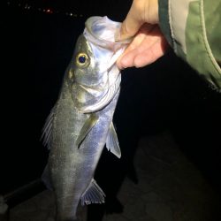 浜名湖