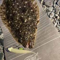 初投稿！初釣果は…