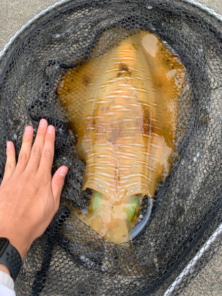 釣姫はポテンシャル高い