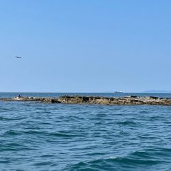 久しぶりのクロ釣り