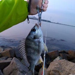 大塩海岸の投げ釣り