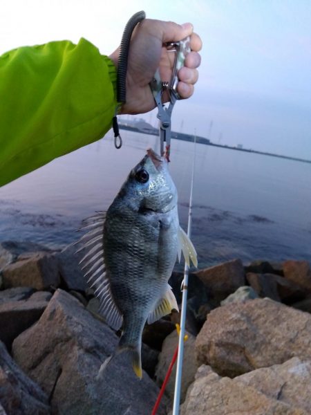 大塩海岸の投げ釣り