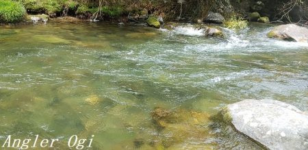 超渇水の引原川を攻略