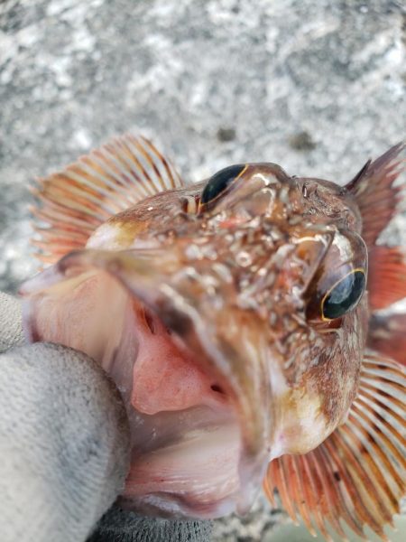 穴練釣行