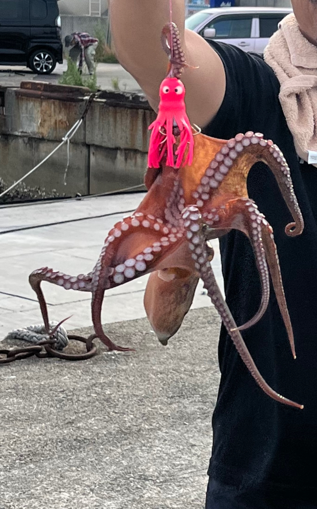 タコ釣り🐙