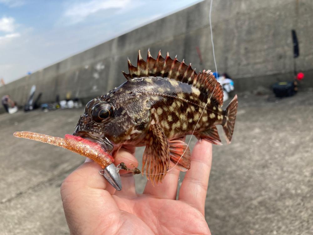 2年ぶりの釣り大会