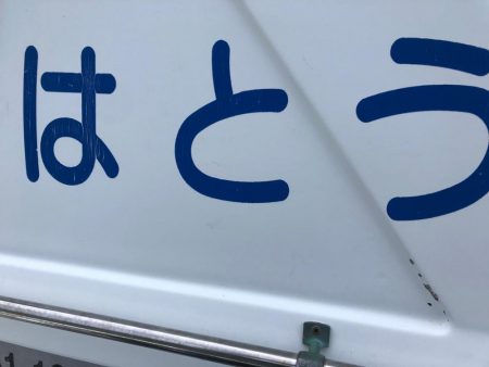 やっぱりはとう渡船