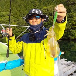 6月なのに秋イカサイズの新子ばかり