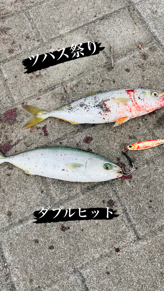 庭の魚たち