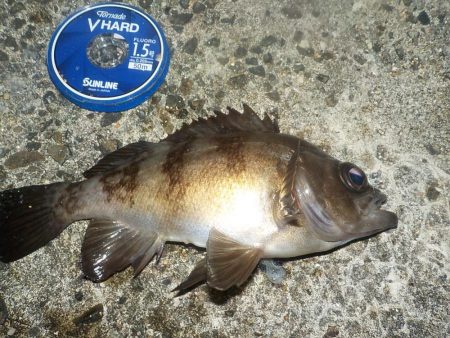 友人と餌釣り