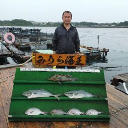 関東 海上釣り堀 陸っぱり 釣り 魚釣り 釣果情報サイト カンパリ