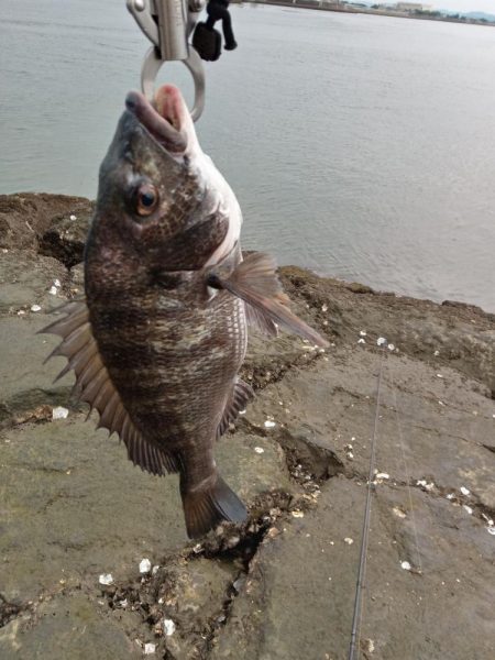 7月ようやく釣れました