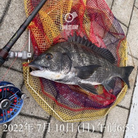 南港ヘチ釣り