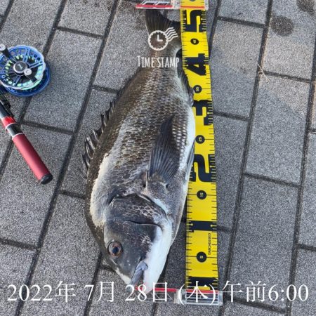 南港ヘチ釣り