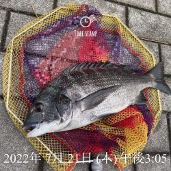 南港ヘチ釣り