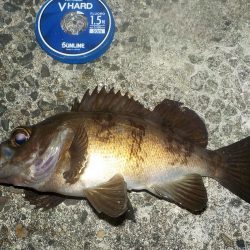 友人と餌釣り