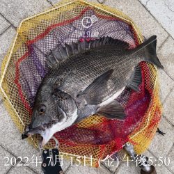 ヘチ釣り