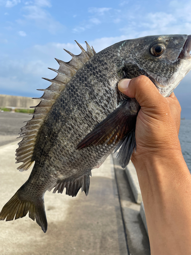 フカセ釣り  雷が鳴り 退散！