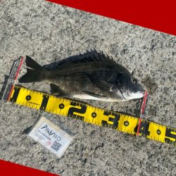 釣り始めから何度もアタリが