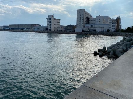 アジ釣り開幕！毎投ヒット！