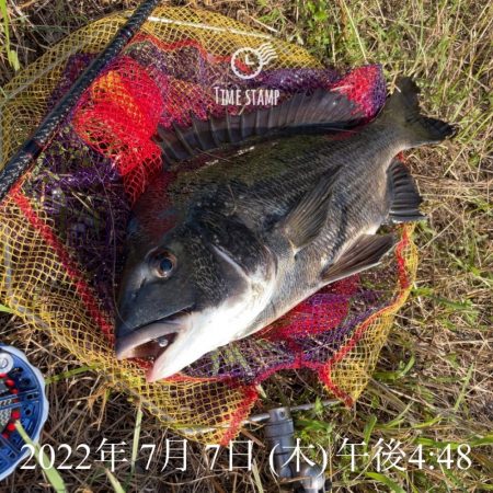 南港ヘチ釣り