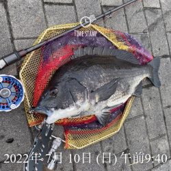 南港ヘチ釣り