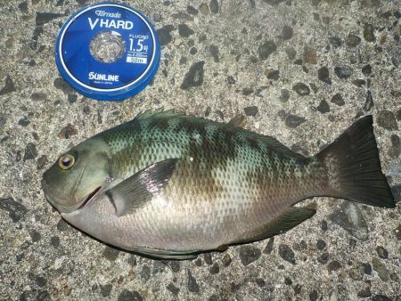 友人と餌釣り