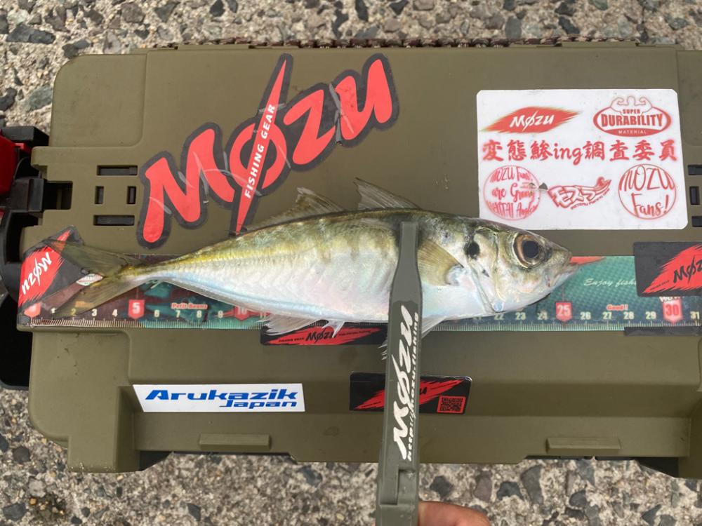 テトラ帯での釣り