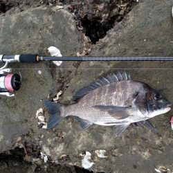 7月ようやく釣れました