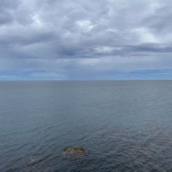 夏の泳がせ釣り