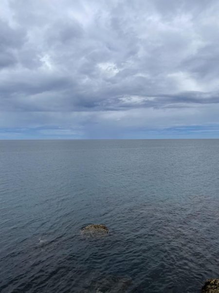 夏の泳がせ釣り