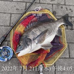 南港ヘチ釣り