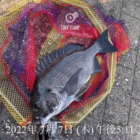 南港ヘチ釣り