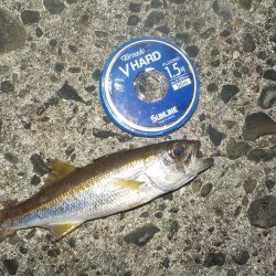 友人と餌釣り