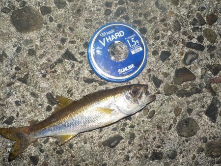 友人と餌釣り