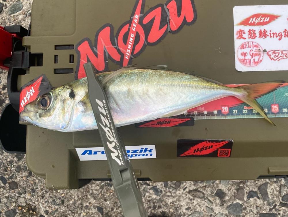 テトラ帯での釣り