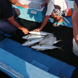 関西 カンパチ シオ ジギング船 釣り船 釣果情報サイト カンパリ