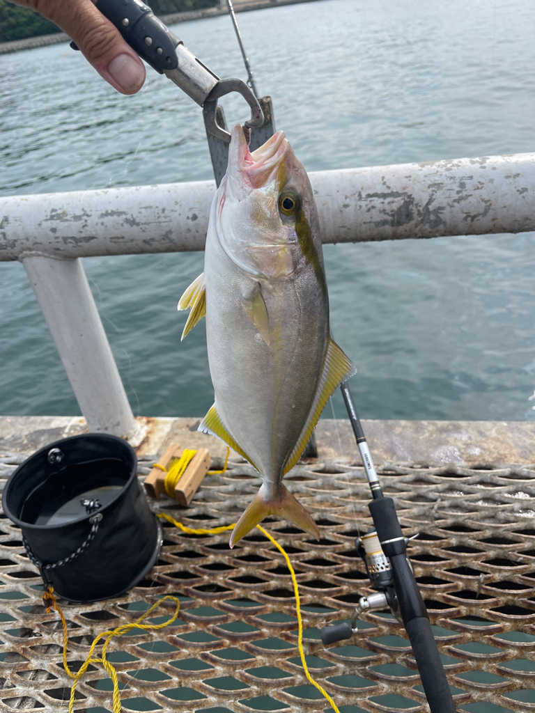 トットパーク小島で釣りたい魚全部ゲット