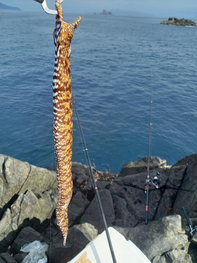 沖ノ島遠征２日目