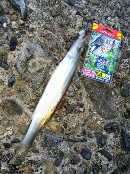 釣り場か近かったので…