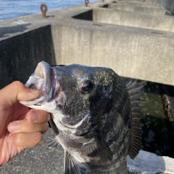 ヘチ釣り