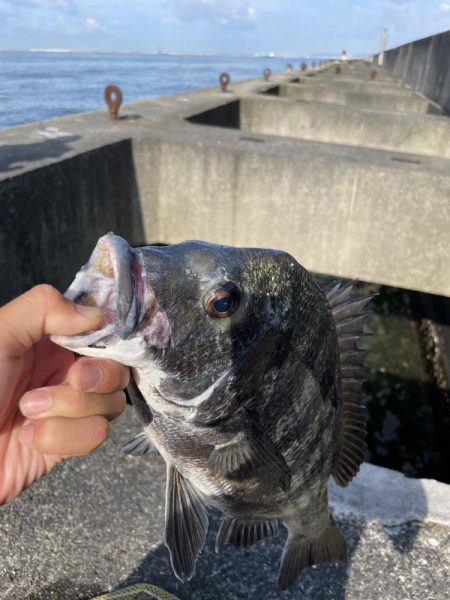 ヘチ釣り