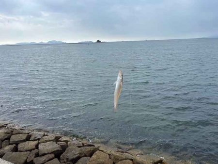 謎の激渋！隣で入れ食い！？