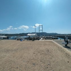 海上釣り堀 岬さんへ遊びに行ってきました