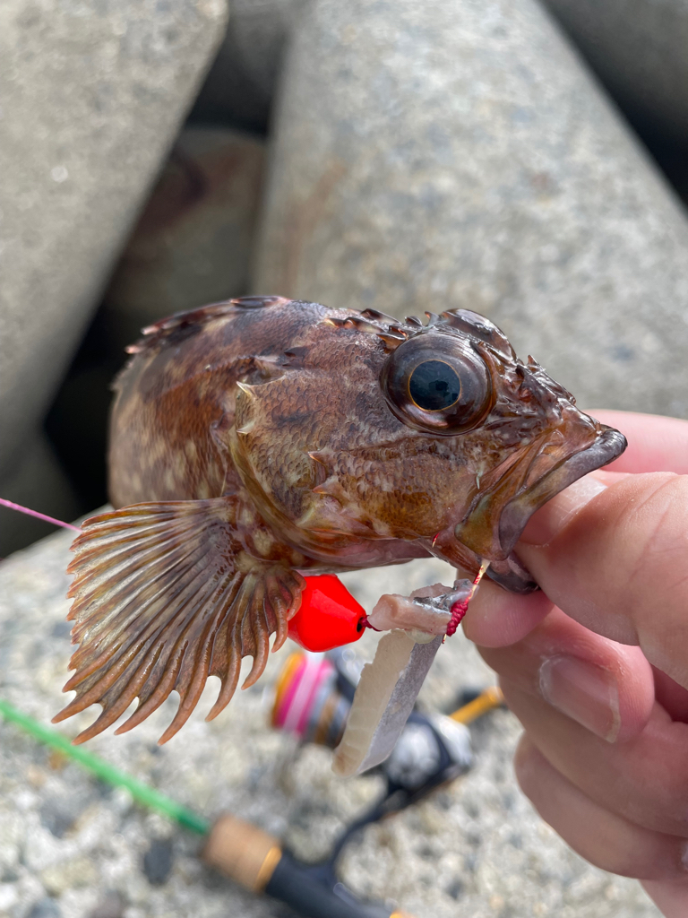 時間潰しに穴釣り